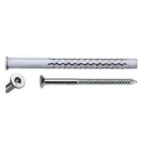 C TASSELLO NYLON PROLUNGATO CLXRL-S 10X140 C/VITE TORX (50,0 PZ)