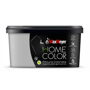 HOME COLOR SUPERLAVABILE  2,5L ARGENTO