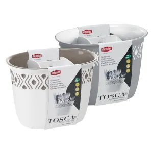 SCOLAPOSATE 'TOSCA' bianco/tortora