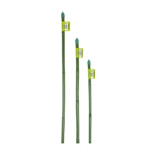 CANNETTA BAMBU' PLASTICATO Ø 10/12 mm. - h. 120 cm (25 PZ)