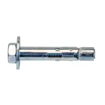 C TASSELLO ANCORANTE ACCIAIO CLSL-S 10X100 C/VITE (50,0 PZ)