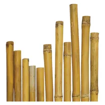 CANNA BAMBU' Ø 28/30 mm. circa - h. mt 2