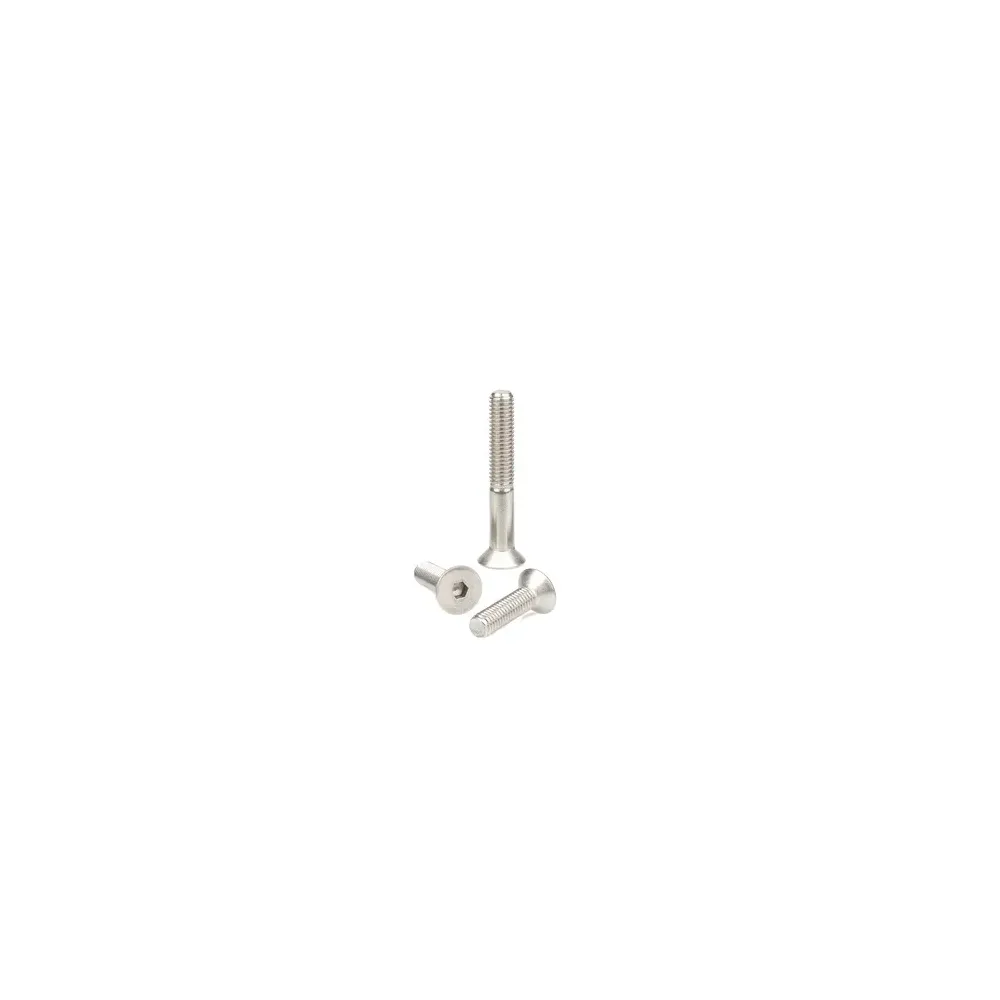 VITE ACCIAIO INOX A2 TSPEI FILETTO TOTALE 10X 60 MM UNI5933 (100,0 PZ)