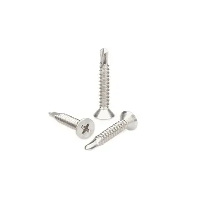 VITE P/LAMIERA AUTOPERFORANTE TSP PH 3,9X 32 MM INOX A2 UNI8119 (1000,0 PZ)