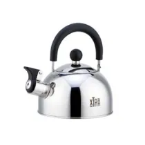 BOLLITORE INOX FISCHIO