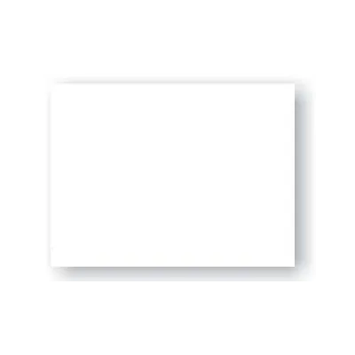 PLASTICA ADESIVA BIANCO LUCIDO (288-1273)