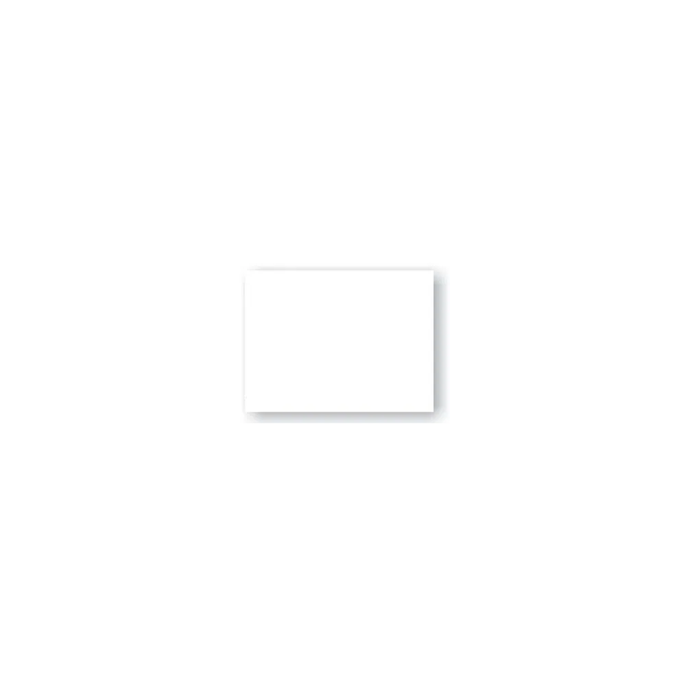 PLASTICA ADESIVA BIANCO OPACO (280-0100)