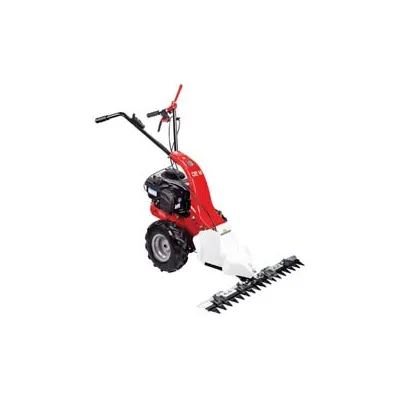 MOTOFALCIATRICE A SCOPPIO MOTORE B&S 3