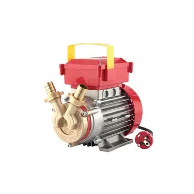 ELETTROPOMPA IN BRONZO BISENSO DA TRAVASO ROVER 20 CE