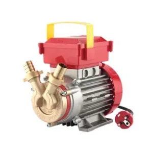 ELETTROPOMPA IN BRONZO BISENSO DA TRAVASO ROVER 20 CE