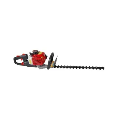 TAGLIASIEPI A SCOPPIO CC.22