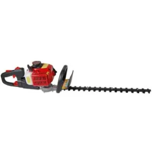 TAGLIASIEPI A SCOPPIO CC.22