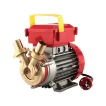 ELETTROPOMPA IN BRONZO BISENSO DA TRAVASO ROVER 25 CE