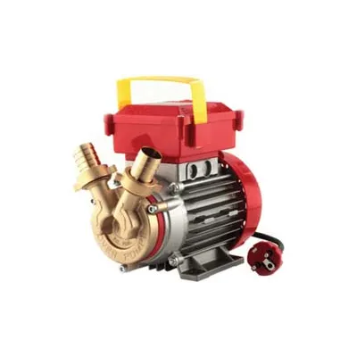 ELETTROPOMPA IN BRONZO BISENSO DA TRAVASO ROVER 25 CE