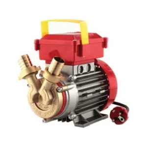 ELETTROPOMPA IN BRONZO BISENSO DA TRAVASO ROVER 25 CE