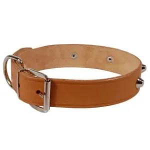 COLLARE PER CANI CUOIO EXTRA NATURALE FINTA CUCITURA CON BORCHIE