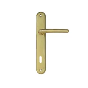 MANIGLIA TORINO CON PLACCA IN ZAMA FINITURA OTTONE LUCIDO