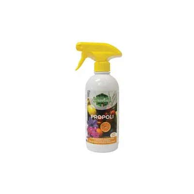 CORROBORANTE PROPOLI SPRAY