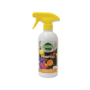 CORROBORANTE PROPOLI SPRAY