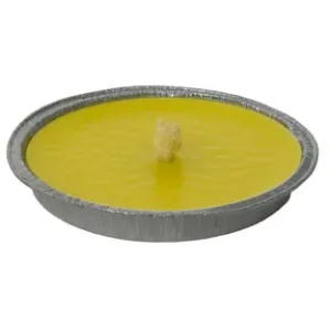 CITRONELLA GRANDE IN CIOTOLA DI ALLUMINIO