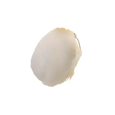 CUFFIE DI LANA D’AGNELLO