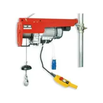 PARANCO ELETTRICO TIRATUTTO PROFESSIONALE KG.100-200 HE 200