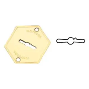 MOSTRINA ESTERNA IN OTTONE 95223