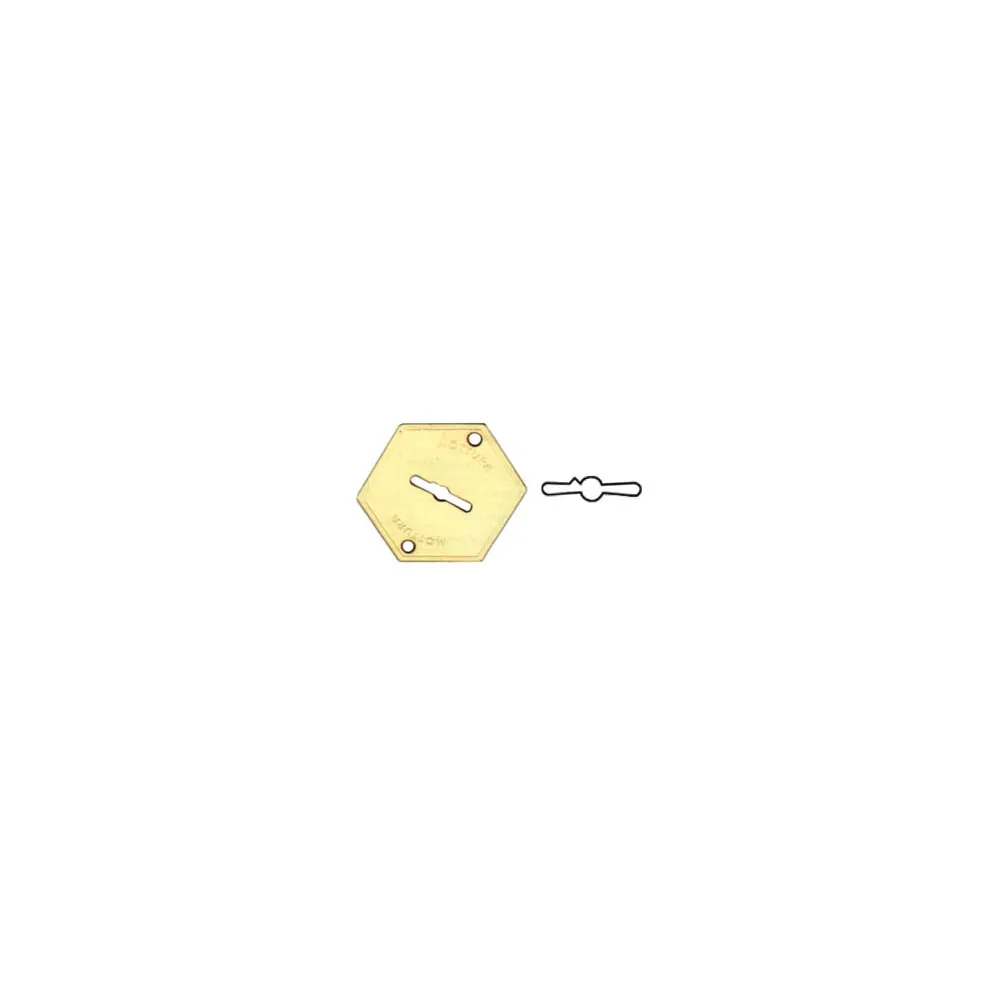 MOSTRINA ESTERNA IN OTTONE 95147