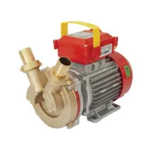 ELETTROPOMPA IN BRONZO BISENSO DA TRAVASO ROVER 35 CE