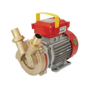 ELETTROPOMPA IN BRONZO BISENSO DA TRAVASO ROVER 35 CE