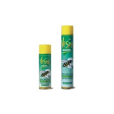 INSETTICIDA SPRAY PER VESPE E CALABRONI