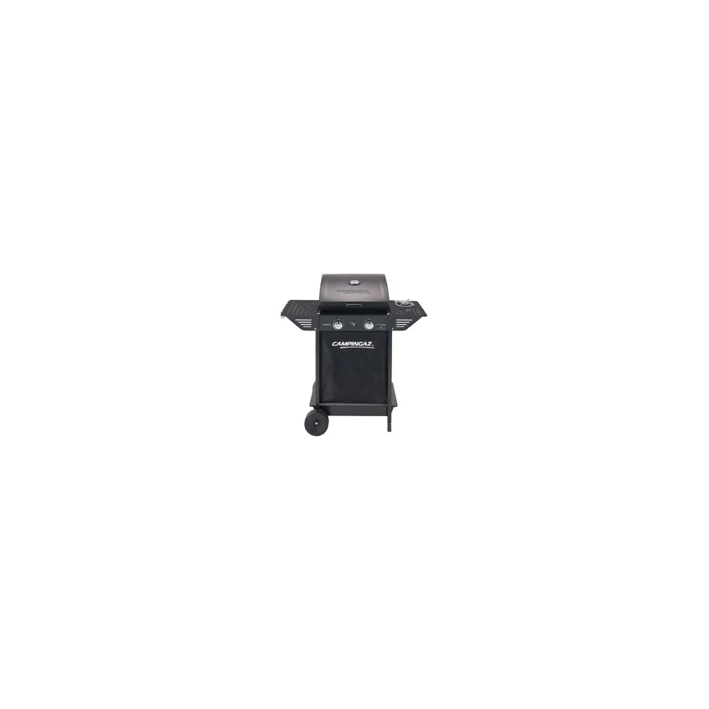 BARBECUE GAS 2 BRUCIATORI + FORNELLO CM.45X34 "XPERT 100 LS PLUS"