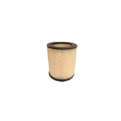 FILTRO HEPA FIREPROOF PER ASPIRACENERE ELETTRICO LT.12 600W