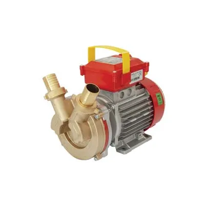 ELETTROPOMPA IN BRONZO BISENSO DA TRAVASO ROVER 30 CE