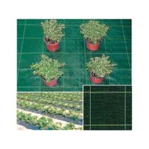 TELO IN RAFIA PER PACCIAMATURA VERDE