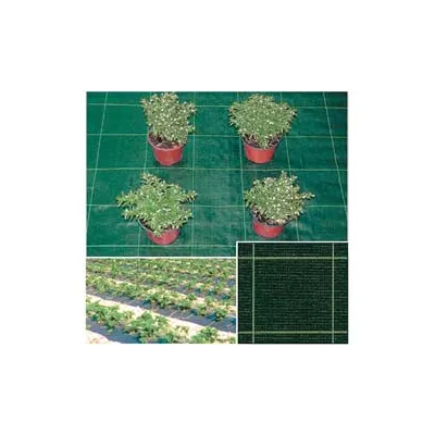 TELO IN RAFIA PER PACCIAMATURA VERDE