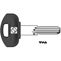 CHIAVI PUNZONATE PER CILINDRI SECUREMME 10 SPINE SCM3RP
