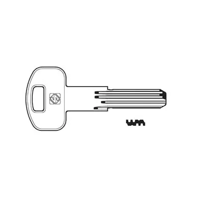 CHIAVI PUNZONATE PER CILINDRI SECUREMME 10 SPINE SCM2