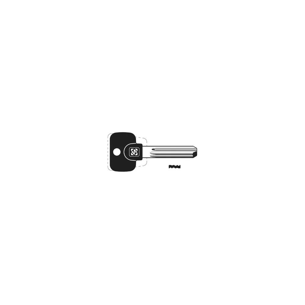 CHIAVI PUNZONATE PER CILINDRI MUL-T-LOCK MTK12RP