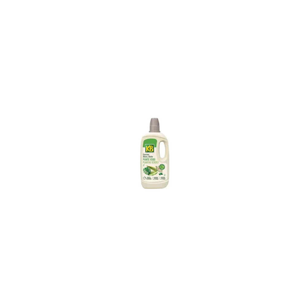 CONCIME LIQUIDO PER PIANTE VERDI
