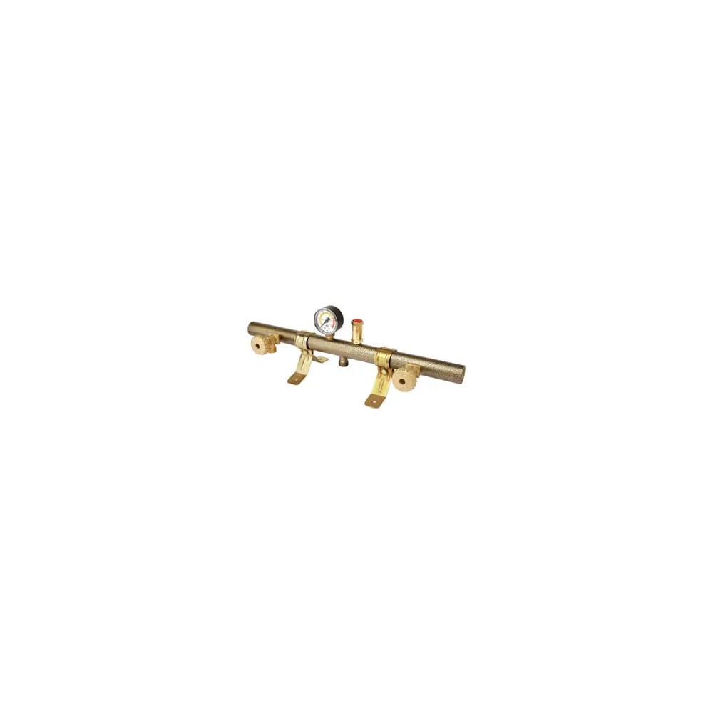 CENTRALINA TUBOLARE PER DUE BOMBOLE SERIE CT2103