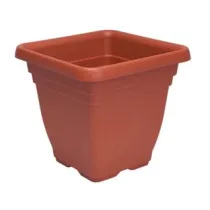 VASO QUADRO LAURUS