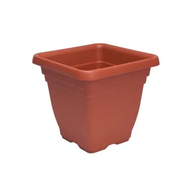 VASO QUADRO LAURUS