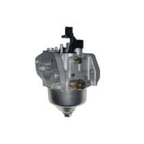 CARBURATORE PER RASAERBA