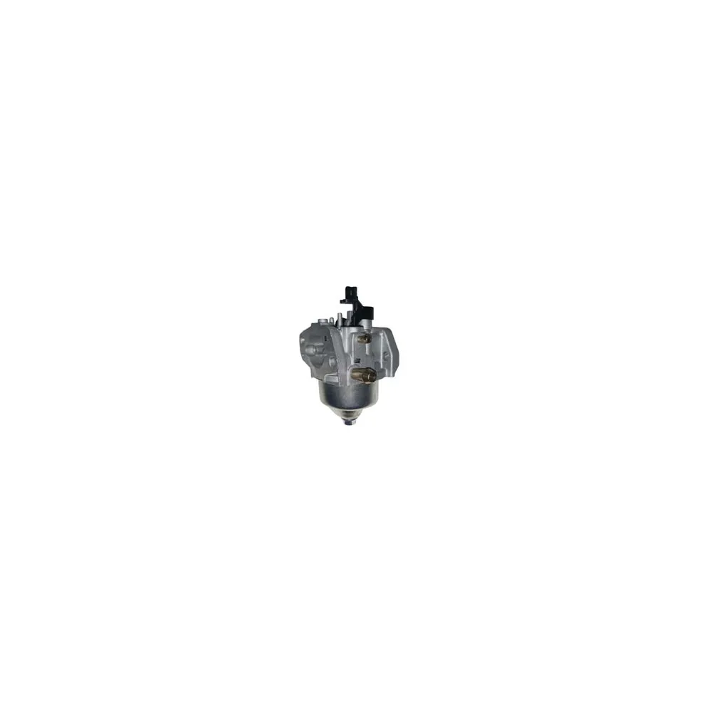 CARBURATORE PER RASAERBA