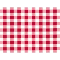 TOVAGLIATO SUNNY FELPATO QUADRETTATO ROSSO