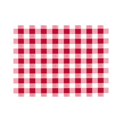 TOVAGLIATO SUNNY FELPATO QUADRETTATO ROSSO