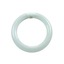 CIRCOLINE TRIFOSFORO FLUORESCENTI T9 G10Q