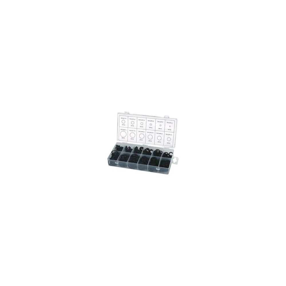 GUARNIZIONI ON-RING ASSORTITE PZ.300