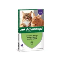 ANTIPARASSITARIO "ADVANTAGE" PER GATTI E CONIGLI OLTRE KG.4